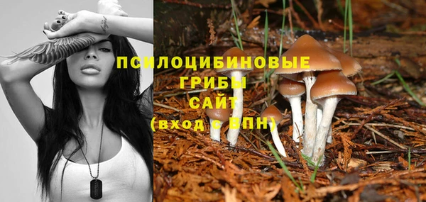 скорость Алексин