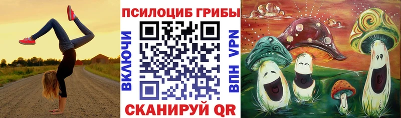 Галлюциногенные грибы Magic Shrooms Курлово